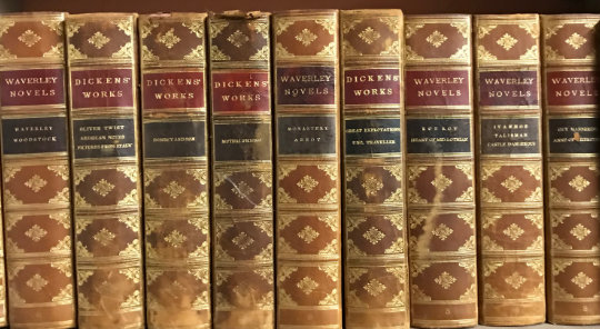Decorative Books Sample