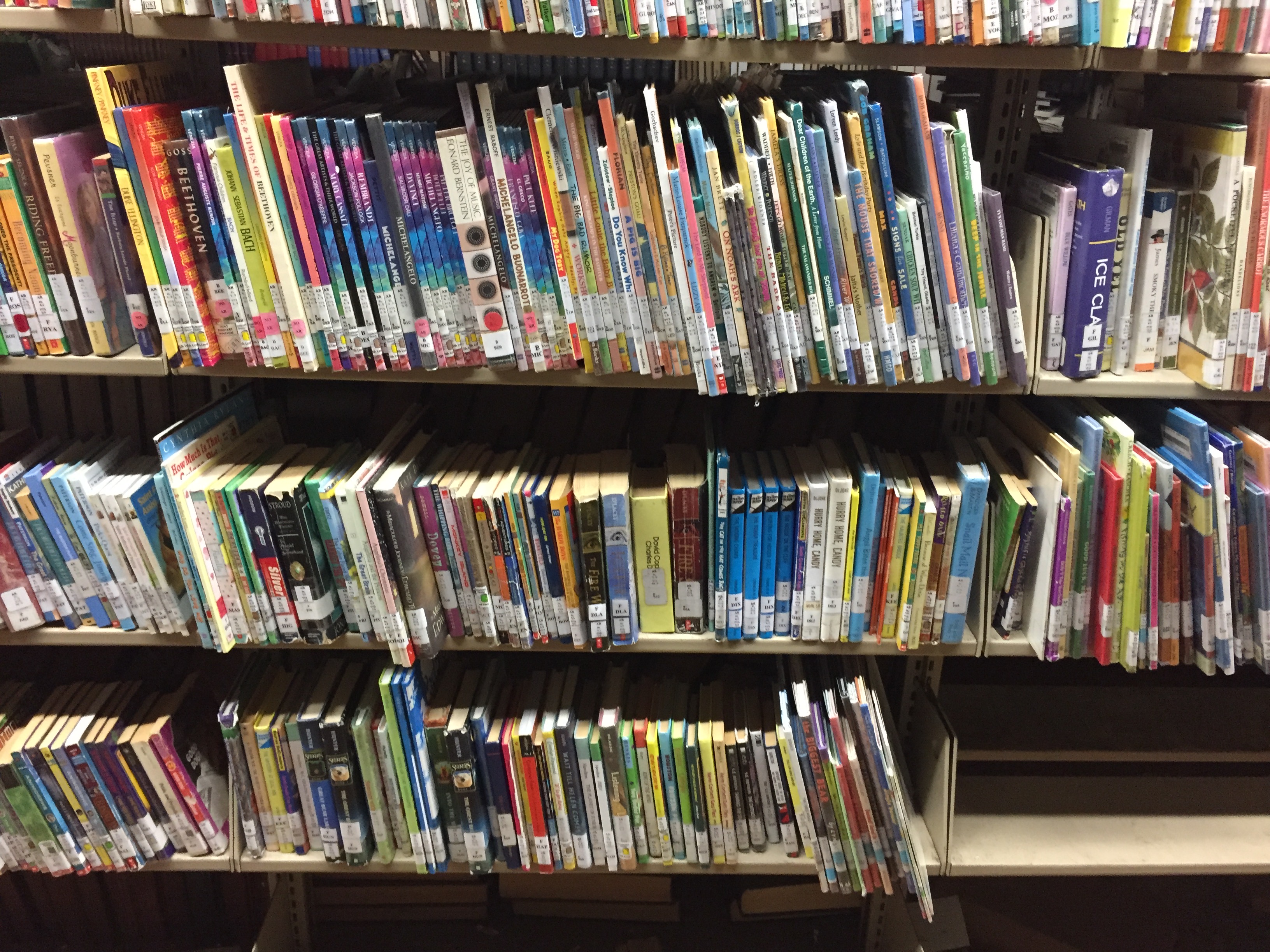 Ex library childrens books.