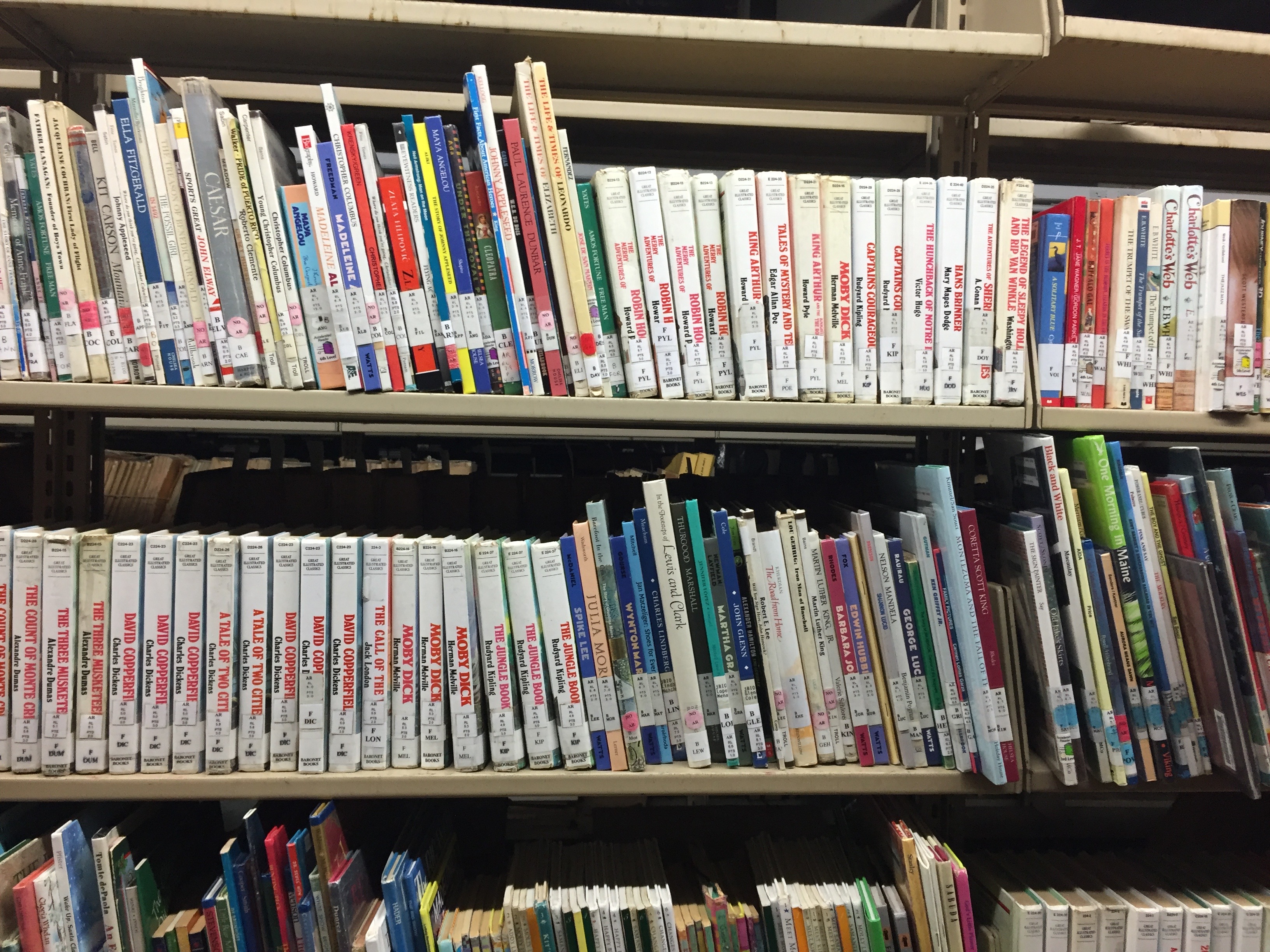 Ex library childrens books.