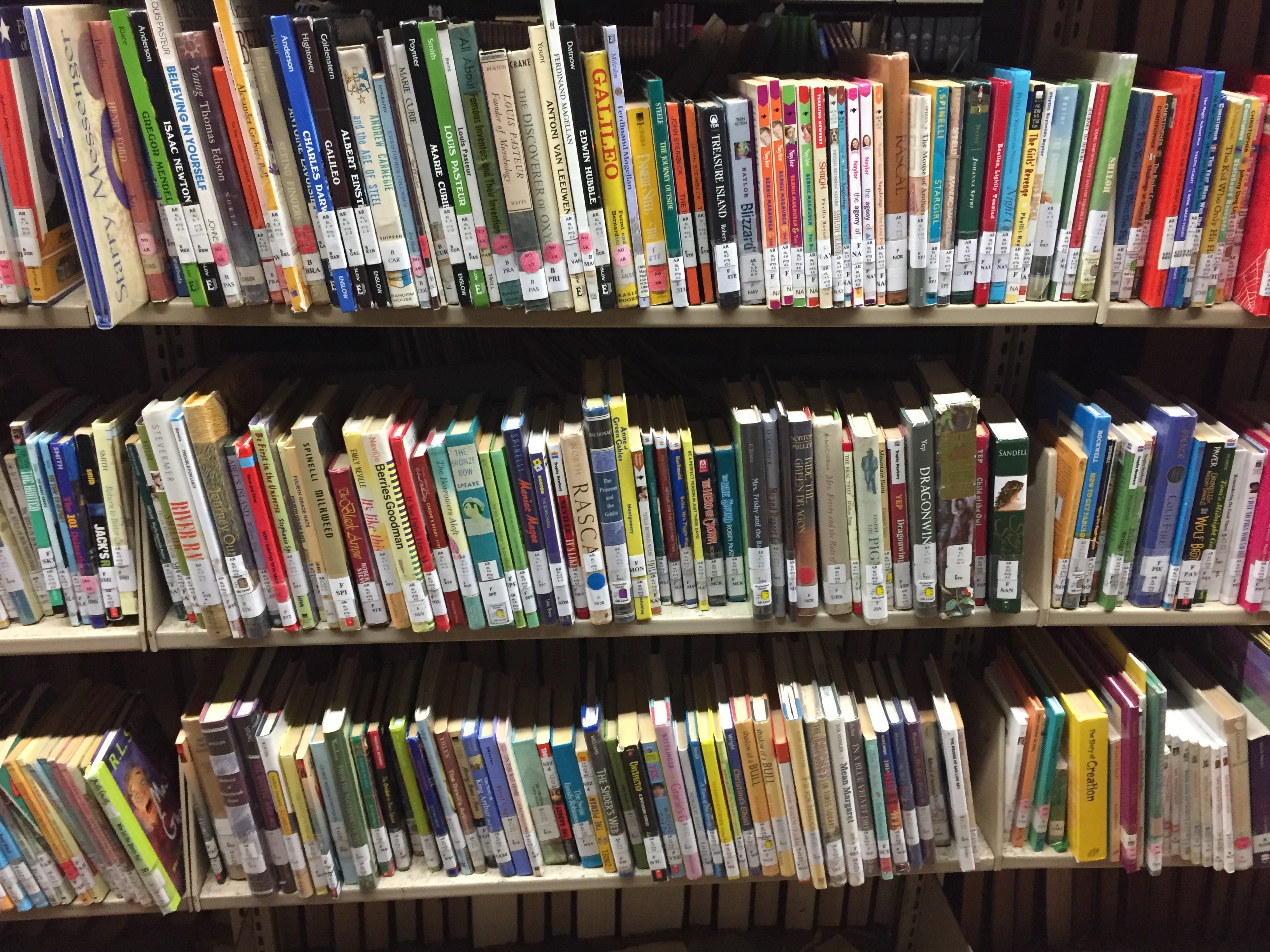 Ex library childrens books.