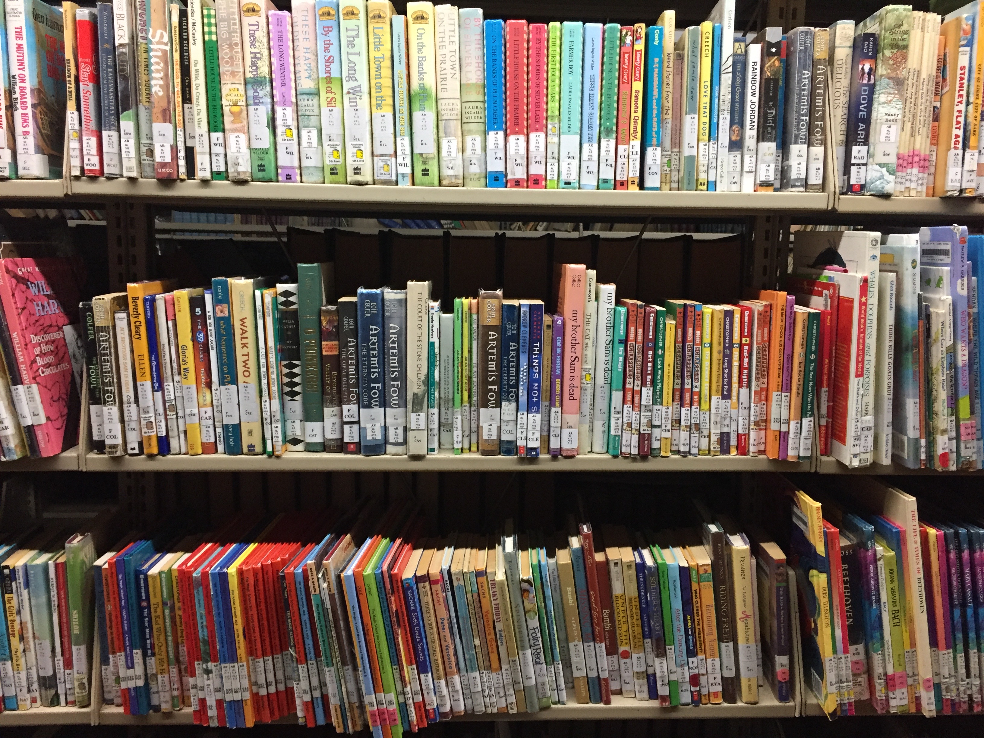 Ex library childrens books.